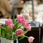 チューリップの愉しみ