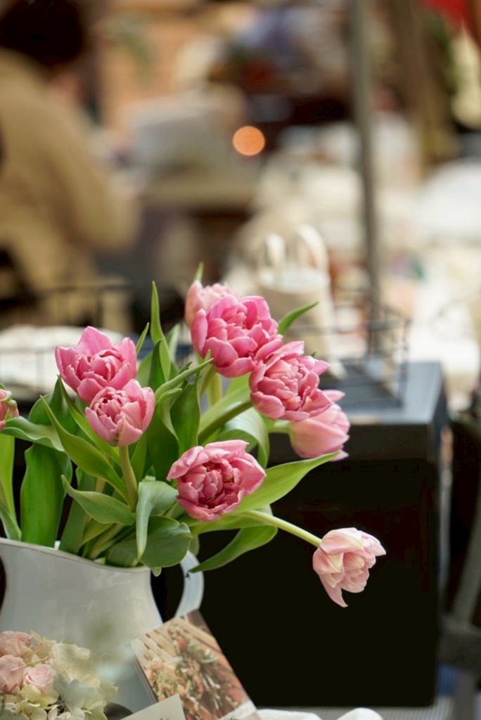 チューリップの愉しみ